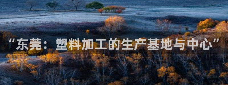 太阳集团网站入口官网网址：“东莞：塑料加工的生产基地与中心”