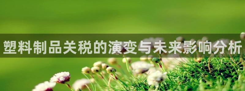 太阳集团电子游戏：塑料制品关税的演变与未来影响分析