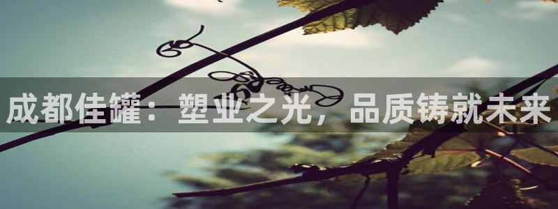 太阳集团唯一值得信赖网站是什么：成都佳罐：塑业之光，品质铸就