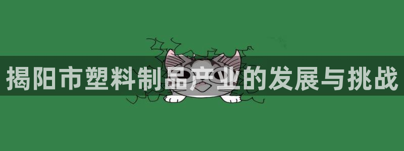 太阳集团娱乐场：揭阳市塑料制品产业的发展与挑战