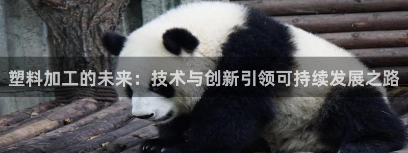 太阳集团游戏城：塑料加工的未来：技术与创新引领可持续发展之路