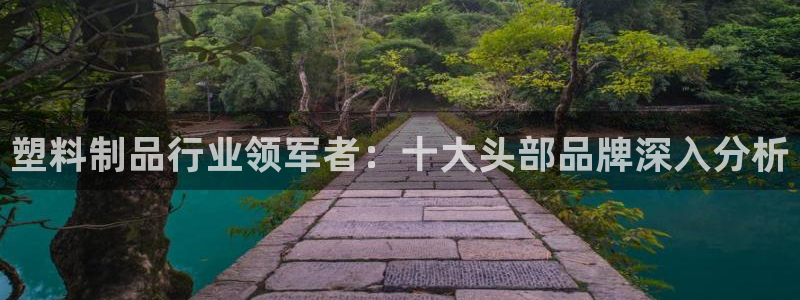 太阳集团城2017网站：塑料制品行业领军者：十大头部品牌深入