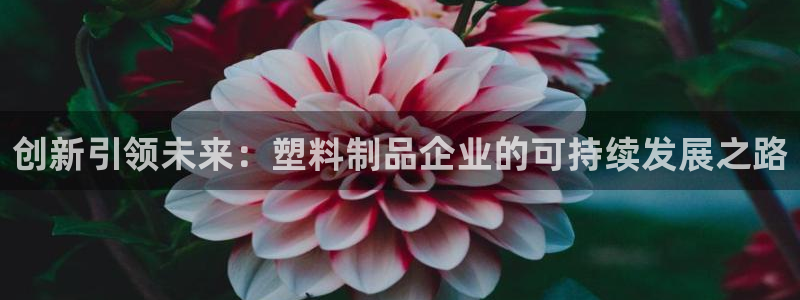 太阳游戏城：创新引领未来：塑料制品企业的可持续发展之路