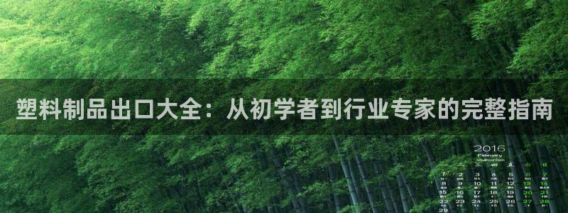 曲靖红太阳集团：塑料制品出口大全：从初学者到行业专家的完整指