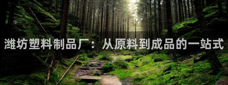 太阳appvip：潍坊塑料制品厂：从原料到成品的一站式