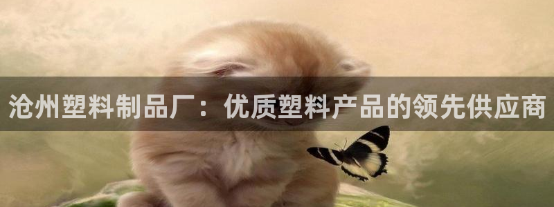 太阳成集团tyc234cc—首页欢迎您：沧州塑料制品厂：优质