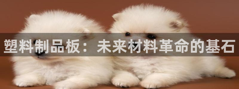 太阳集团股份有限公司是国企吗：塑料制品板：未来材料革命的基石