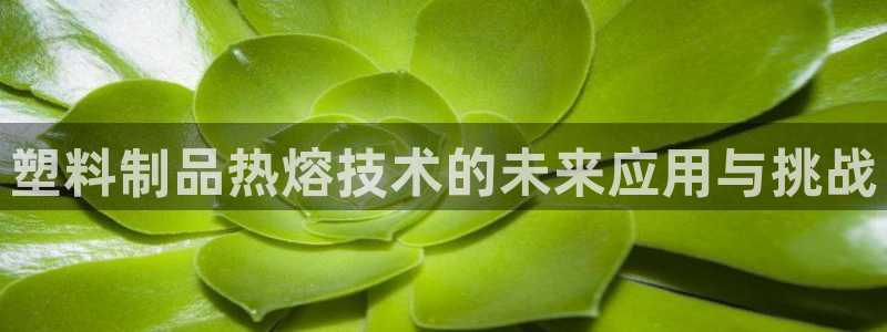 太阳集团唯一值得信赖网：塑料制品热熔技术的未来应用与挑战