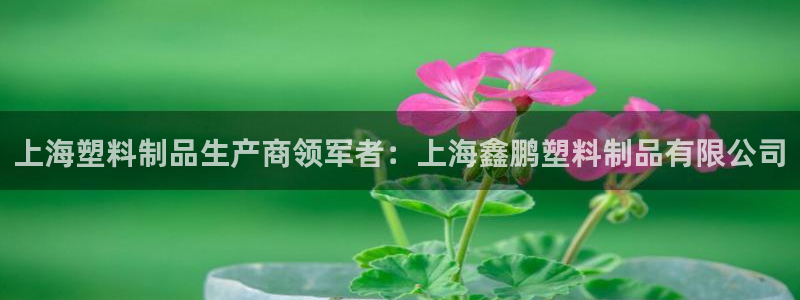 太阳集团是什么电视剧：上海塑料制品生产商领军者：上海鑫鹏塑料