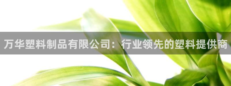 太阳集团入口官网网址：万华塑料制品有限公司：行业领先的塑料提