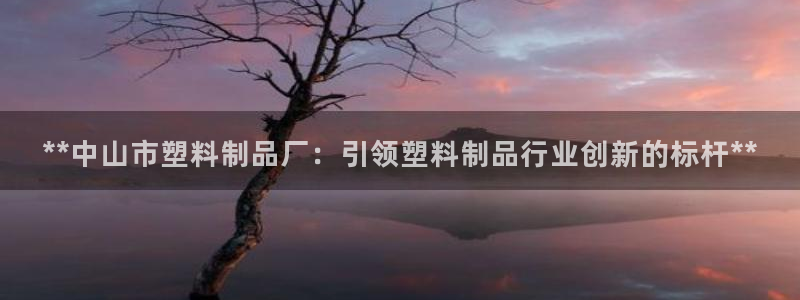 太阳集团股份有限公司官网：**中山市塑料制品厂：引领塑料制品