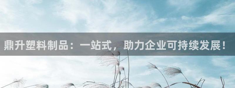 太阳集团网站2018：鼎升塑料制品：一站式，助力企业可持续发