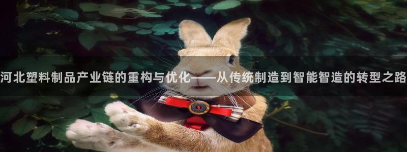 太阳 官网：河北塑料制品产业链的重构与优化——从传统制造到智