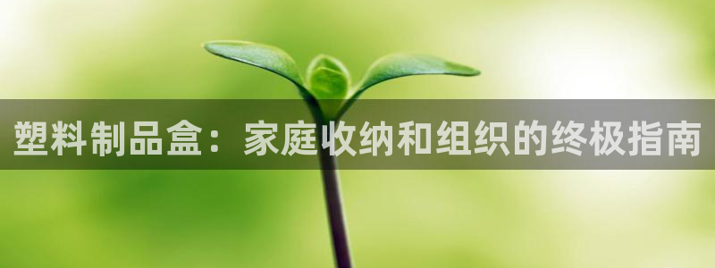 太阳app下载网址进入：塑料制品盒：家庭收纳和组织的终极指南