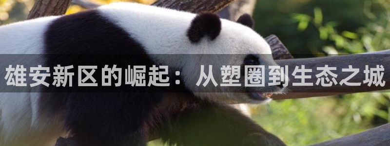 太阳集团所有网址16877：雄安新区的崛起：从塑圈到生态之城