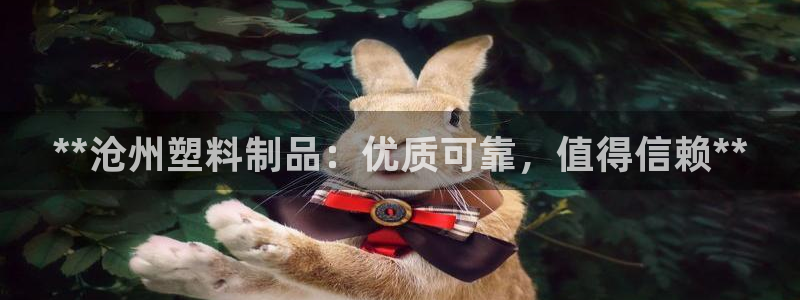 太阳成集团老板照片：**沧州塑料制品：优质可靠，值得信赖**