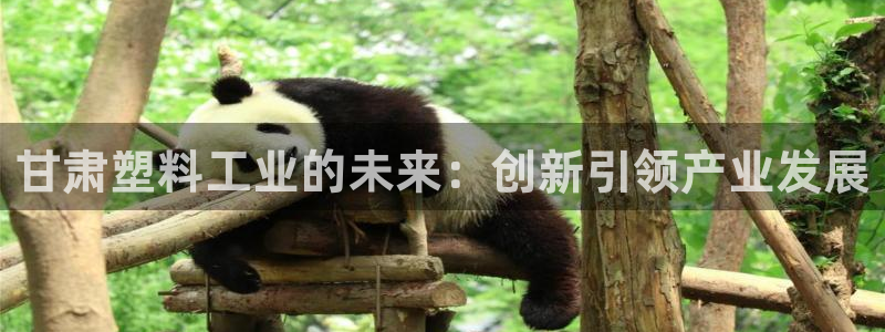 太阳集团股份有限公司是国企吗：甘肃塑料工业的未来：创新引领产