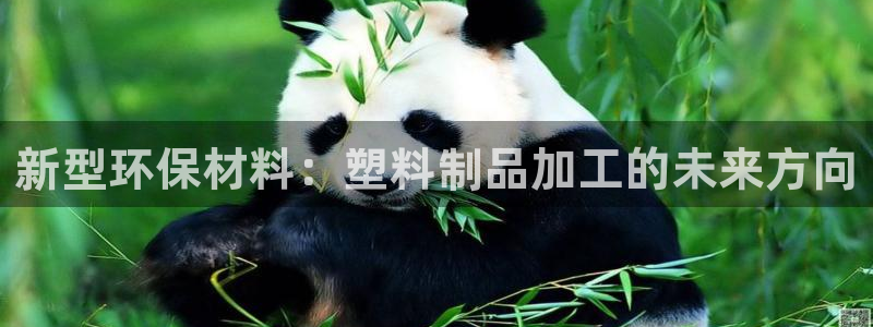 太阳集团股份有限公司招聘：新型环保材料：塑料制品加工的未来方