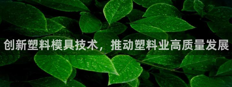 太阳集团首页：创新塑料模具技术，推动塑料业高质量发展