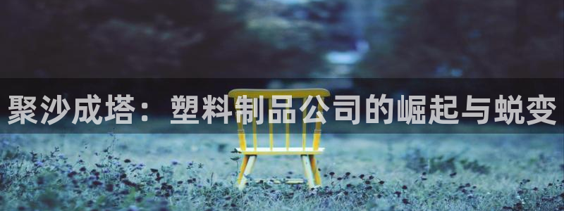 太阳诚集团是什么：聚沙成塔：塑料制品公司的崛起与蜕变