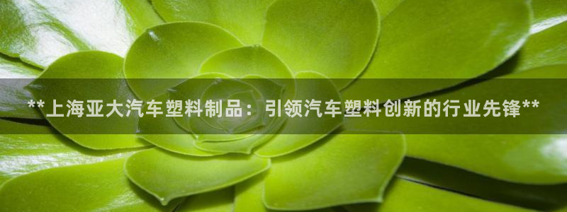 太阳集团市值：**上海亚大汽车塑料制品：引领汽车塑料创新的行