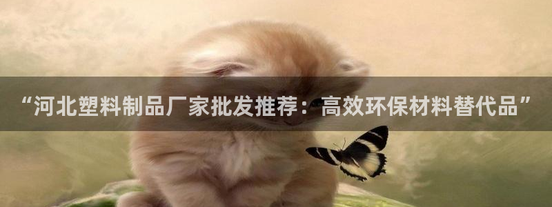 太阳集团董事长是谁呀：“河北塑料制品厂家批发推荐：高效环保材