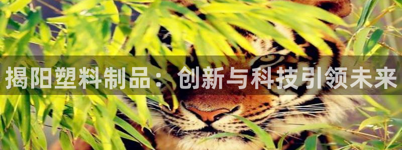 太阳gg娱乐胺44262：揭阳塑料制品：创新与科技引领未来