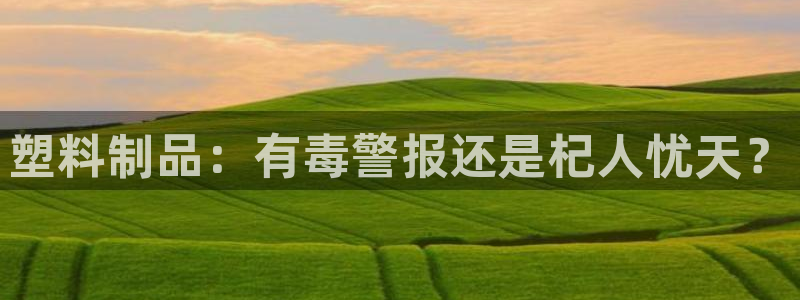 太阳手机游戏：塑料制品：有毒警报还是杞人忧天？