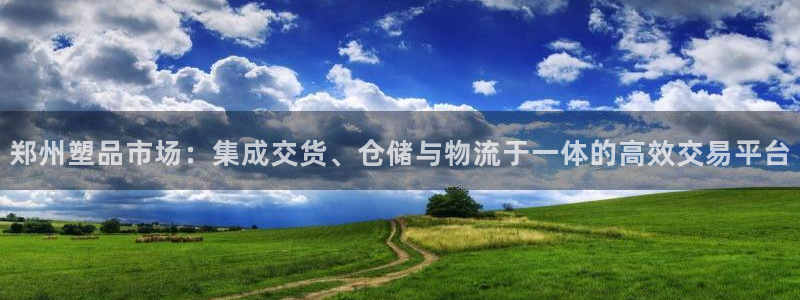 太阳成集团tyc151：郑州塑品市场：集成交货、仓储与物流于