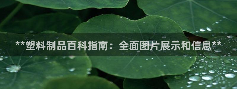 太阳集团游戏官方网址8827：**塑料制品百科指南：全面图片