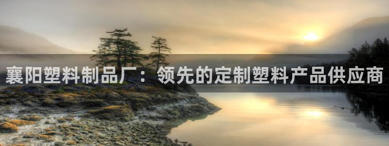 太阳集团控股有限公司：襄阳塑料制品厂：领先的定制塑料产品供应