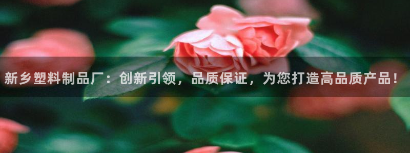 太阳成集团tyc122ccvlp：新乡塑料制品厂：创新引领，